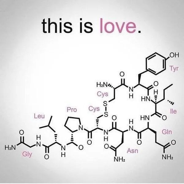 The Chemistry of Falling in Love...